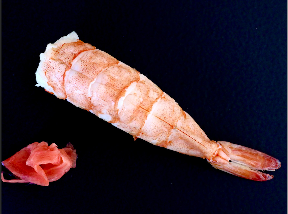 Nigiri Camarón