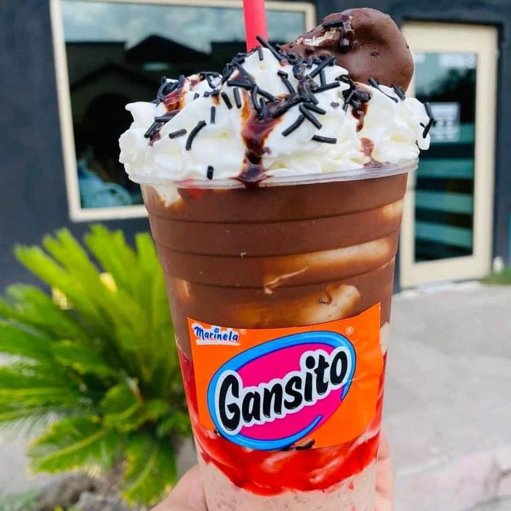 Malteada de Gansito