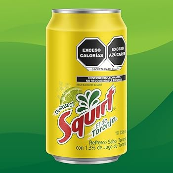 SQUIRT LATA 355 ML