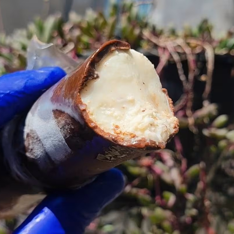 Geladinho de Coco cremoso envolto com Chocolate crocante e intenso. Um geladinho marcante pra quem ama chocolate com toque tropical. Um verdadeiro Prestígio.