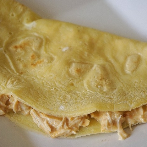 Filé de frango desfiado com queijo mussarela