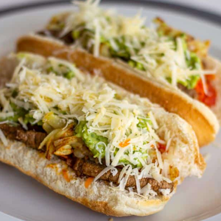 Perro Especial