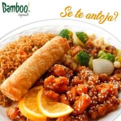 Bamboo Express (Forum)