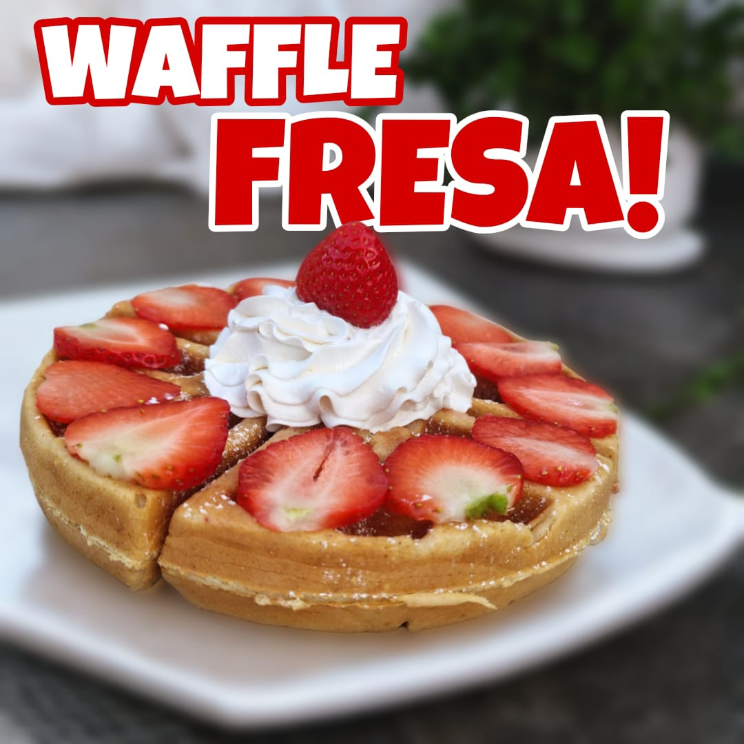WAFFLE + FRAPPE