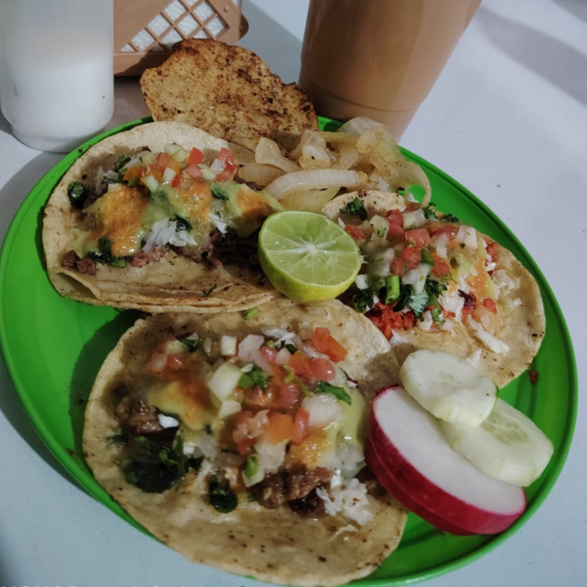 PANELA