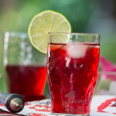 Agua de Jamaica 1 litro