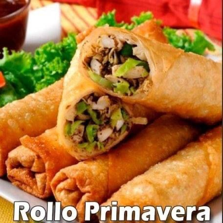 Rollo Primavera (5)