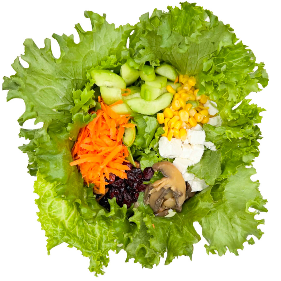 Ensalada Acueducto