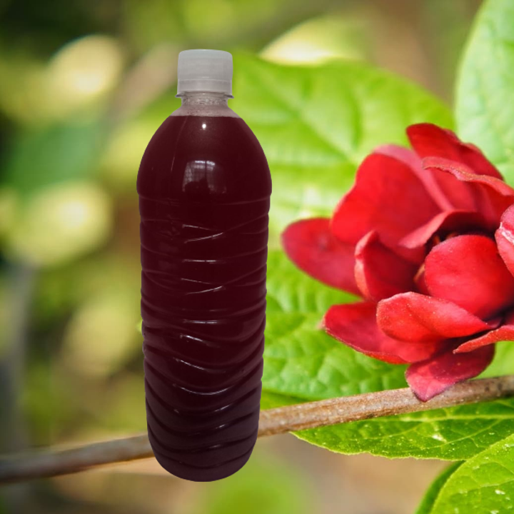 AGUA DE JAMAICA
