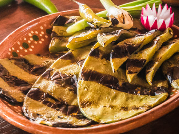 Orden de Nopales