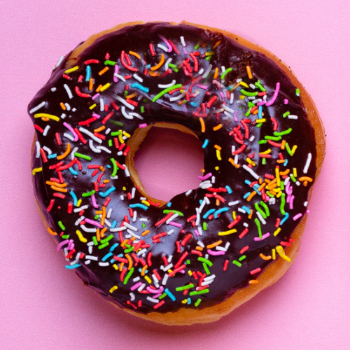 Chocolate Sprinkle Donut