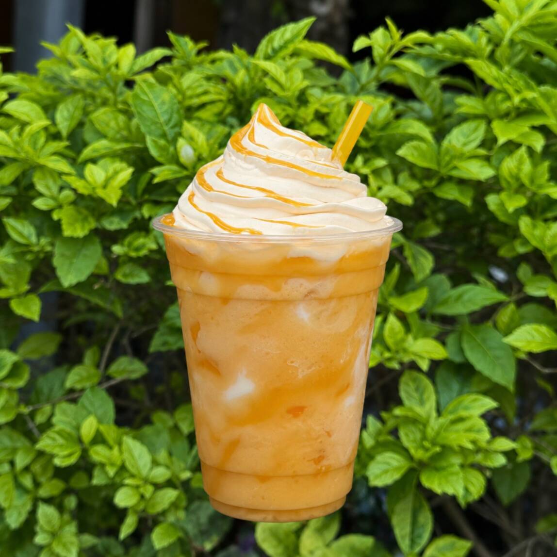 SMOOTHIE DE MANGO