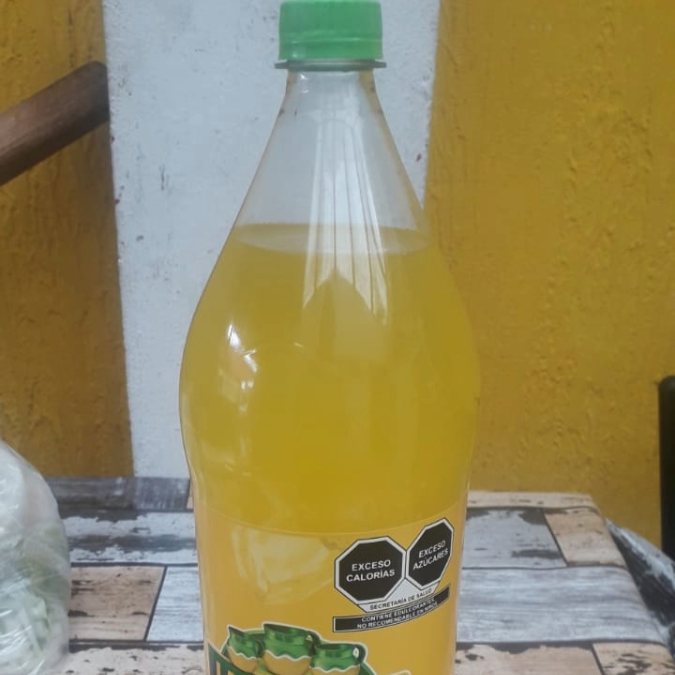 Refresco 600 ml (jarritos) 380 ml (Coca cola)