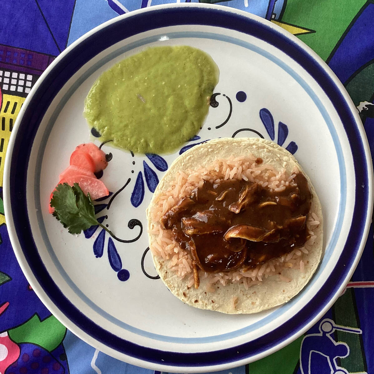 Mole con Pollo