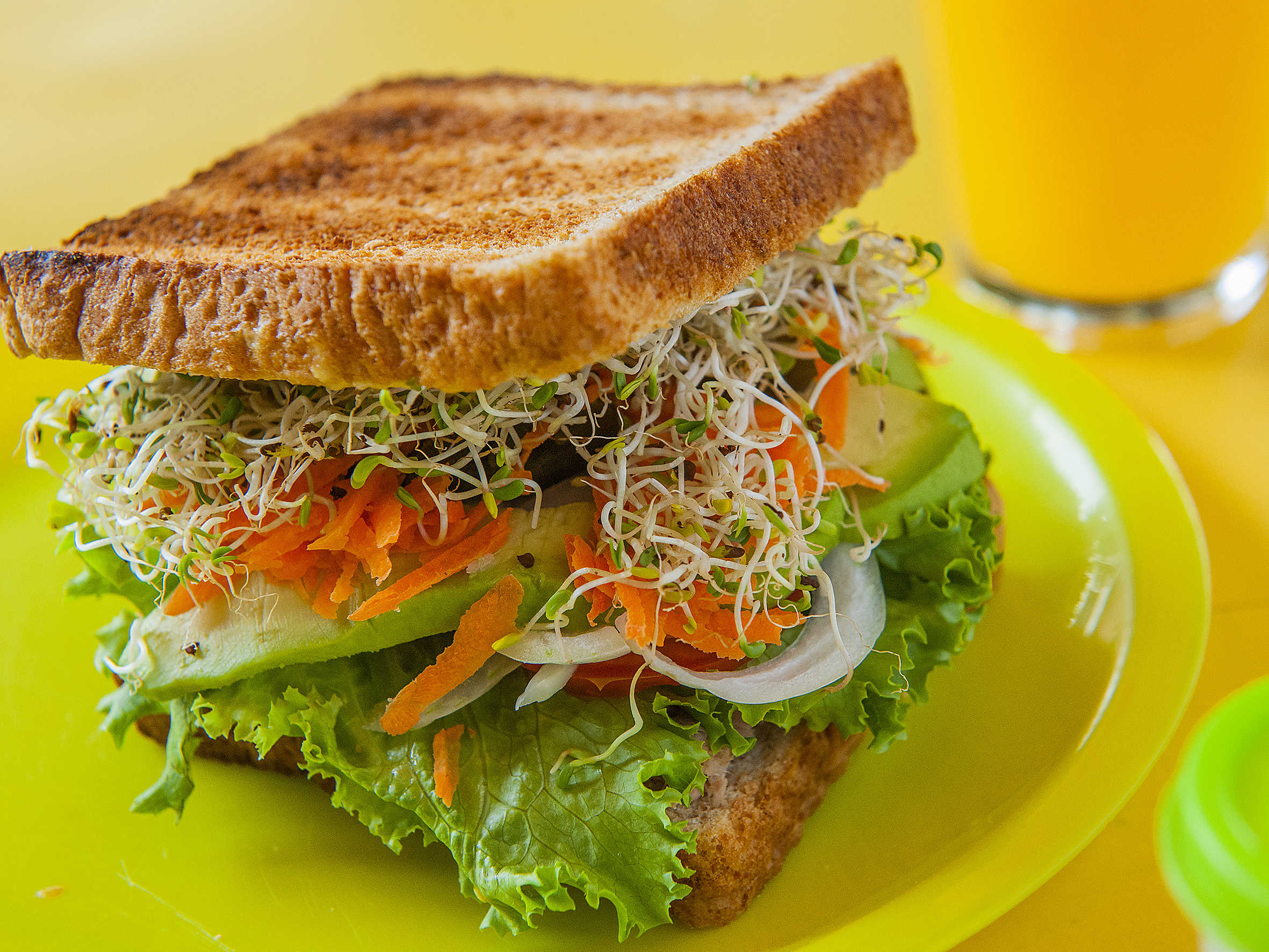 Sándwich Especial