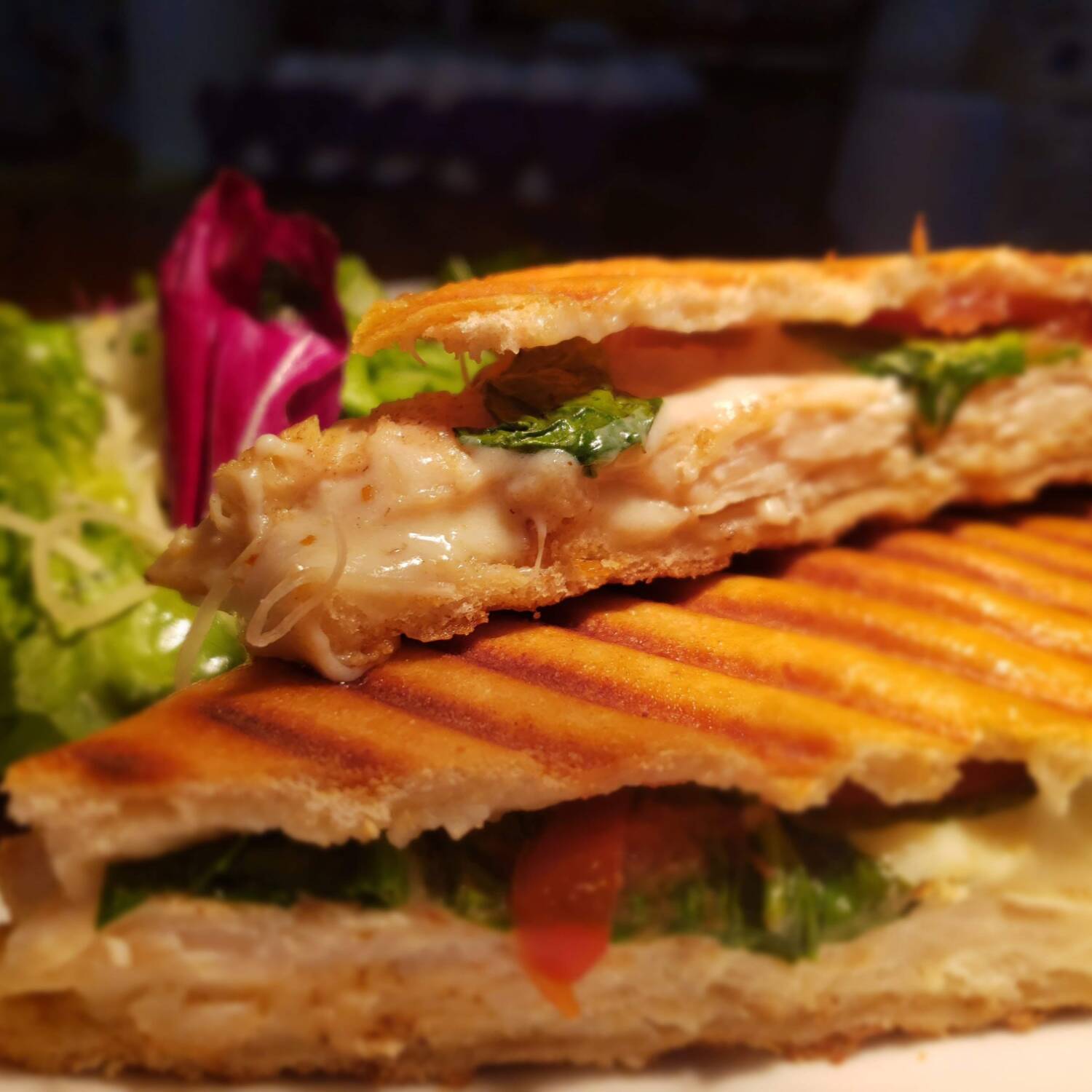 Panini Arrachera & Camaron