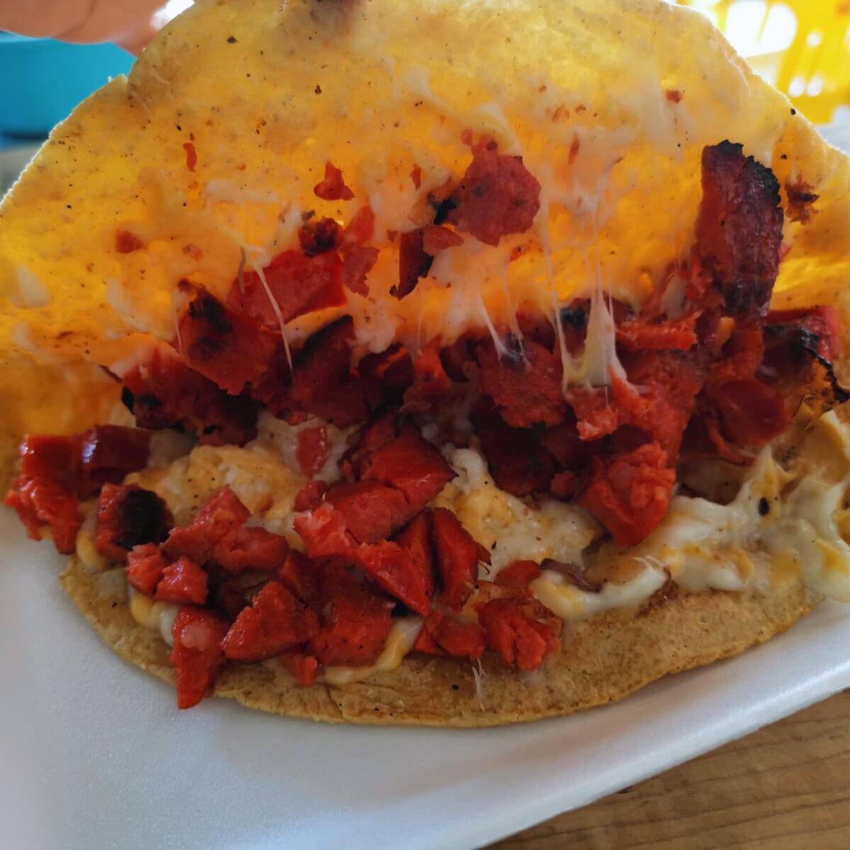 Quesadilla con carne