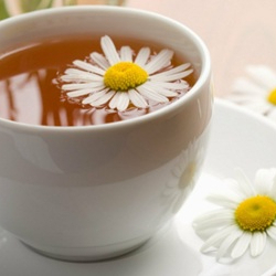 Infusión de Anís