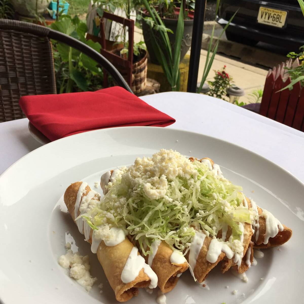 tacos dorados pollo
