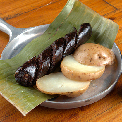 Morcilla Tribal