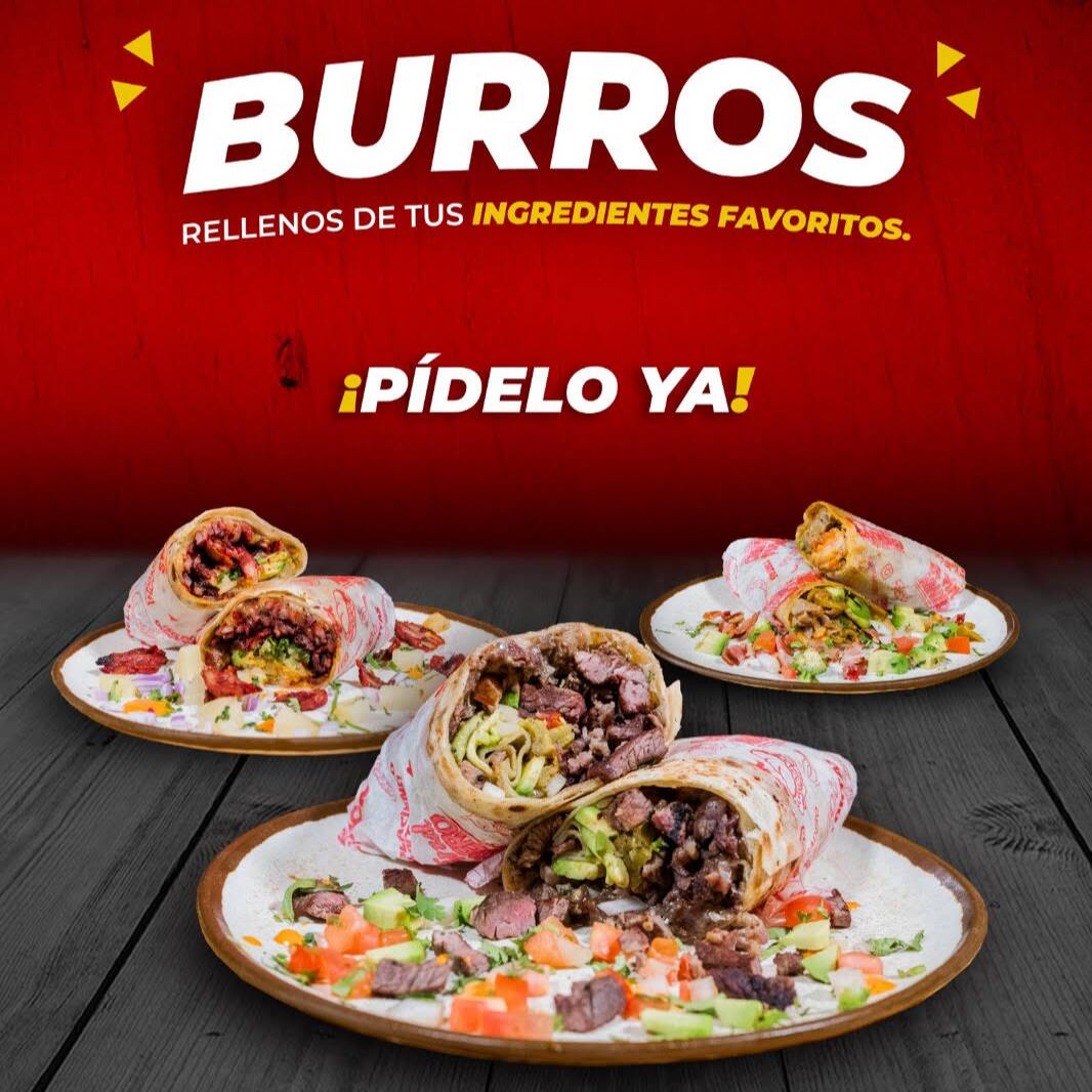 BURRO MAÑANERO