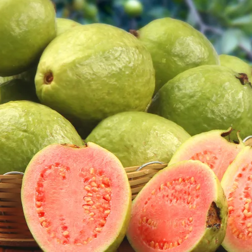 Raspado Mediano 14 Oz GUAYABA