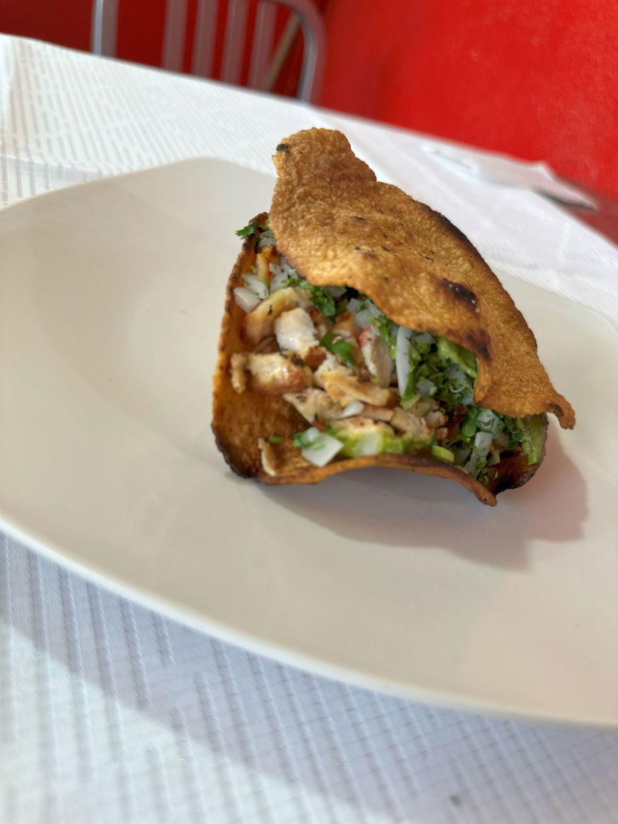 VAMPIRO DE POLLO