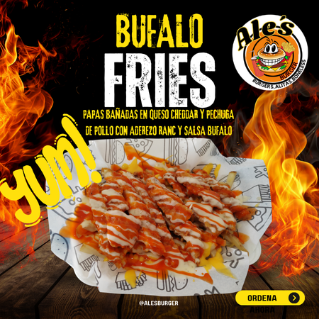 BUFALO FRIES