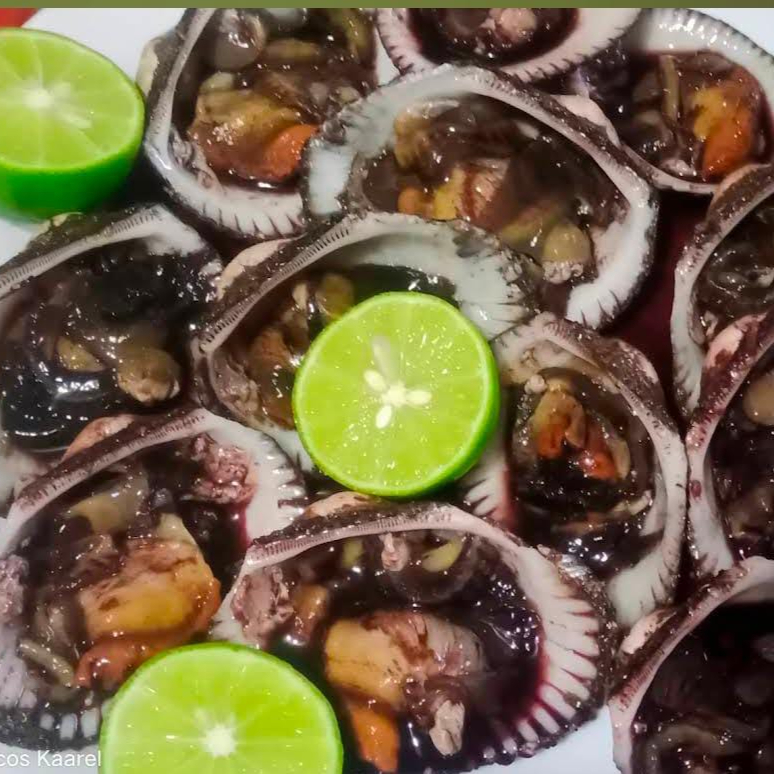 12 Patas de Mula en su Concha