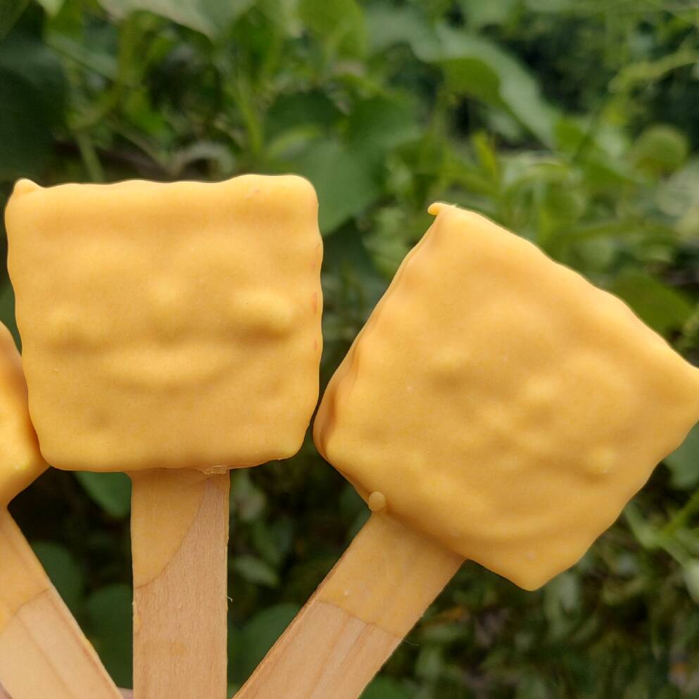 Paleta de Bob Esponja