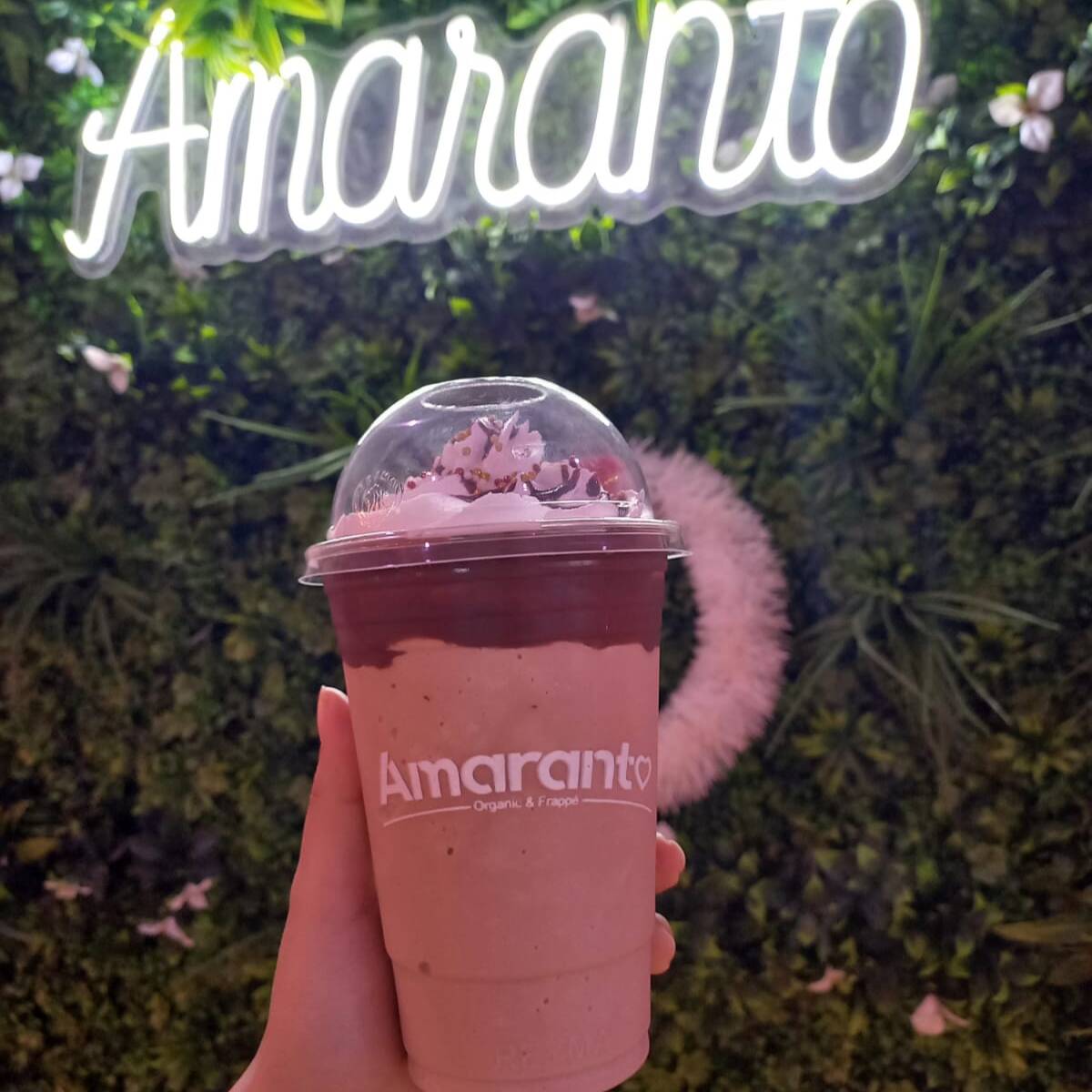 Frappé Carlos V