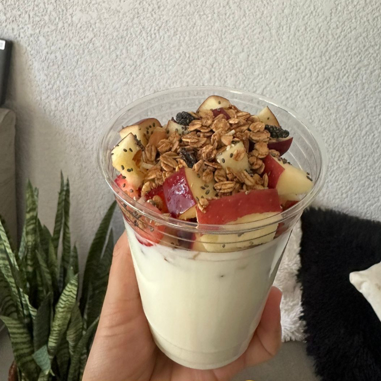 Yogurth Natural