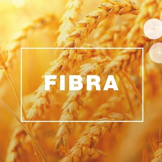 Té Fibra