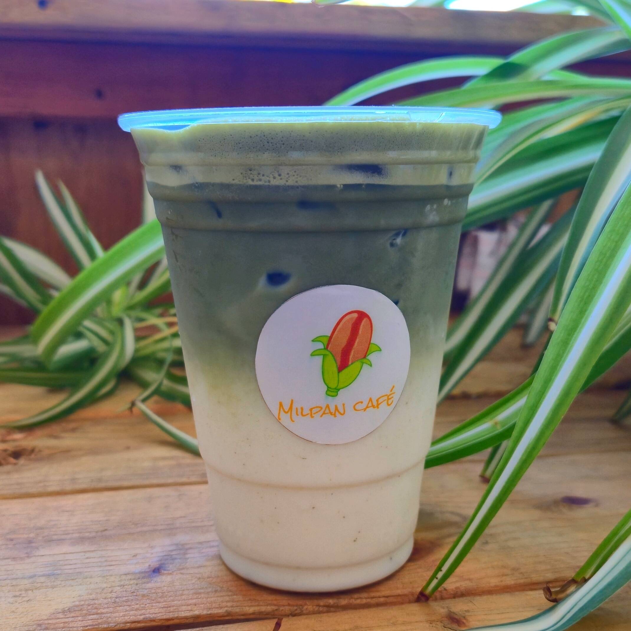 Matcha Latte 12 Oz