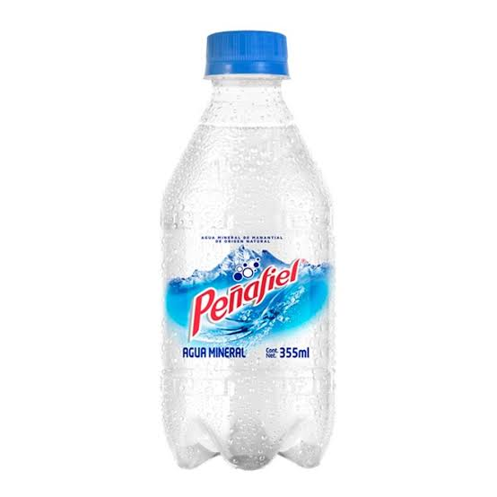 AGUA MINERAL 355 ML