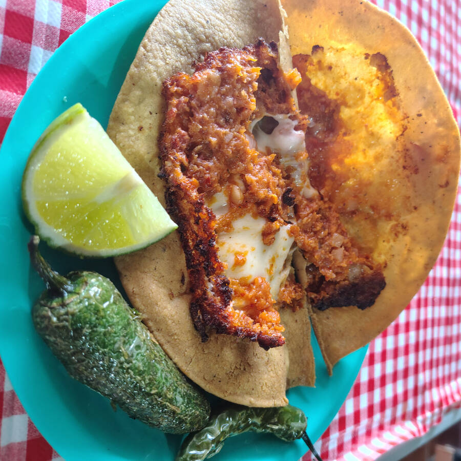 Taco con queso blandito