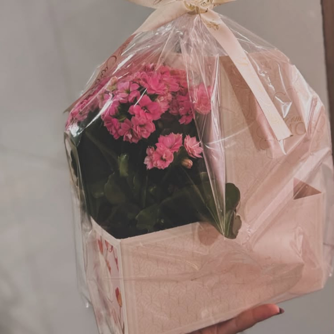 1 arranjo de flores + Brownie 1 pão de mel 1 Pct de Biscoitos & 1 preparo do cappuccino em pó