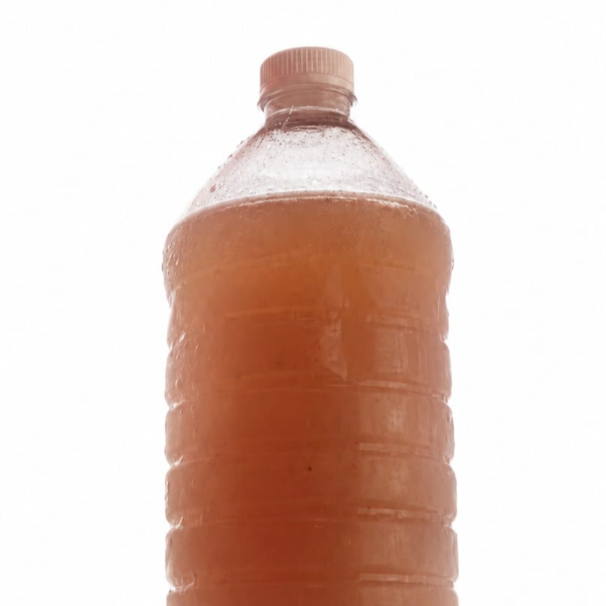 Agua de Tamarido 1L