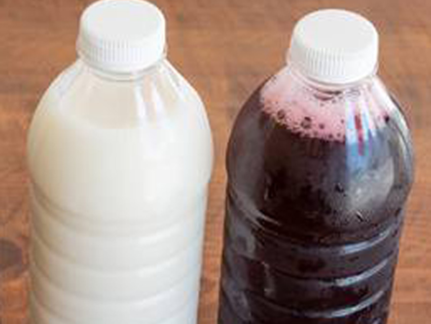 Horchata Natural