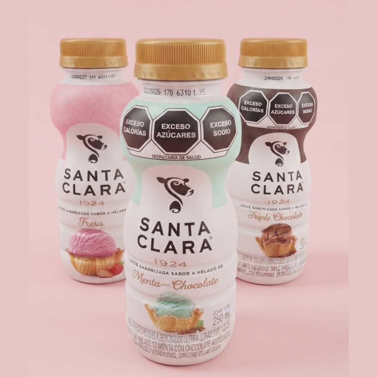 Leche Santa Clara 250 Ml