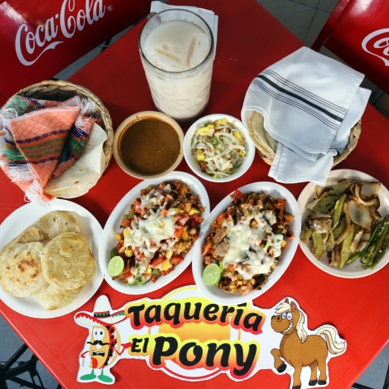 Especialidad Del Pony