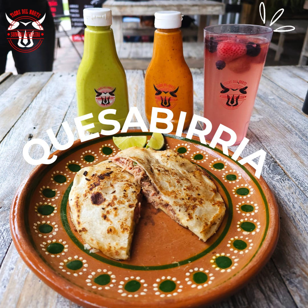 Quesabirria de Birria, Costilla o Pulled Beef 🤑