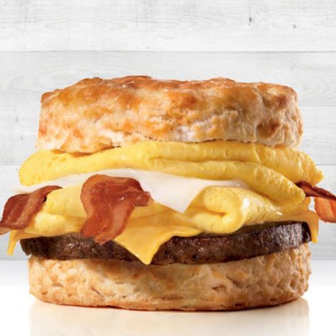 Monster Biscuit (D)