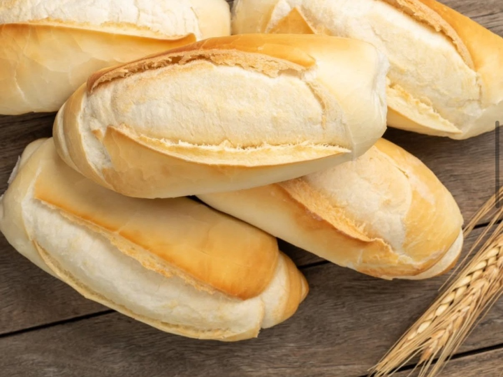 Mimosa De Copacabana