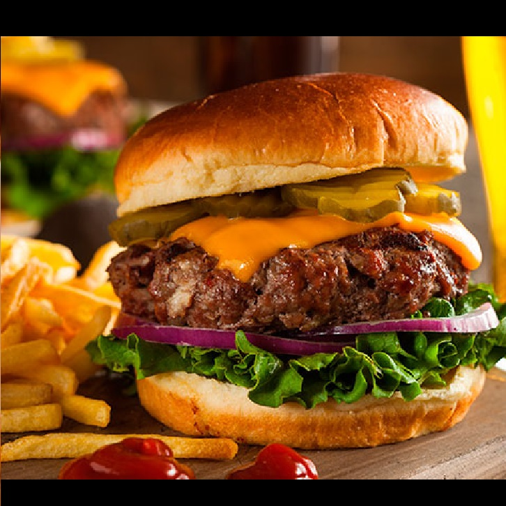 Burger el Lindo Gatito
