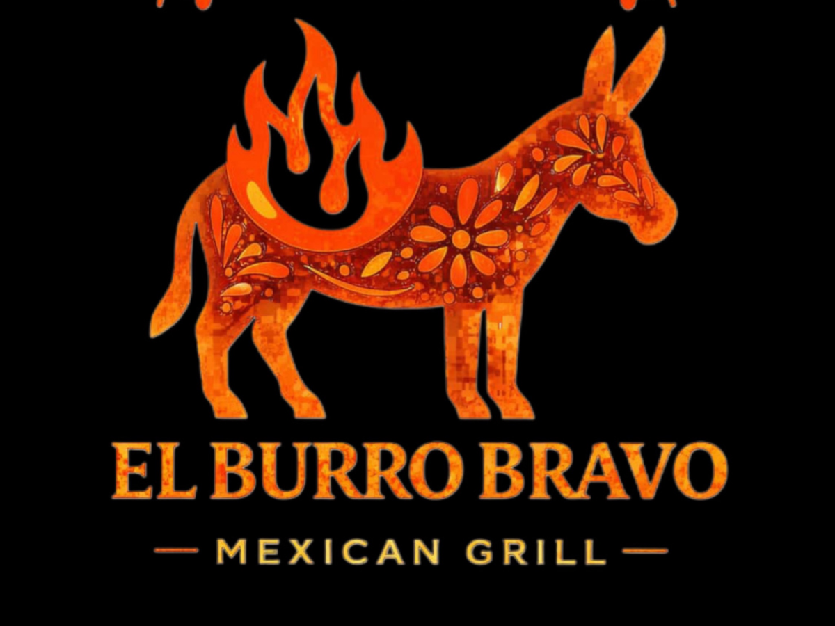EL BURRO BRAVO