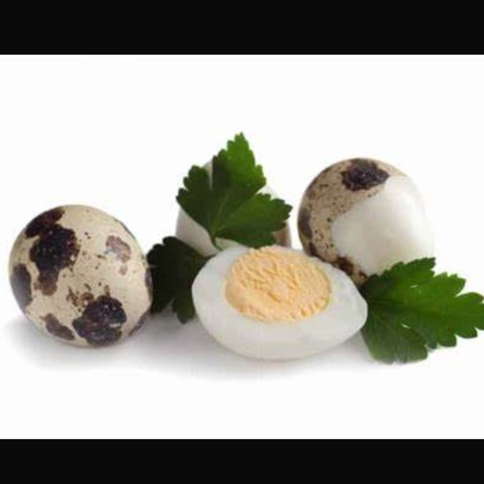 Huevos de Codorniz 3 Und