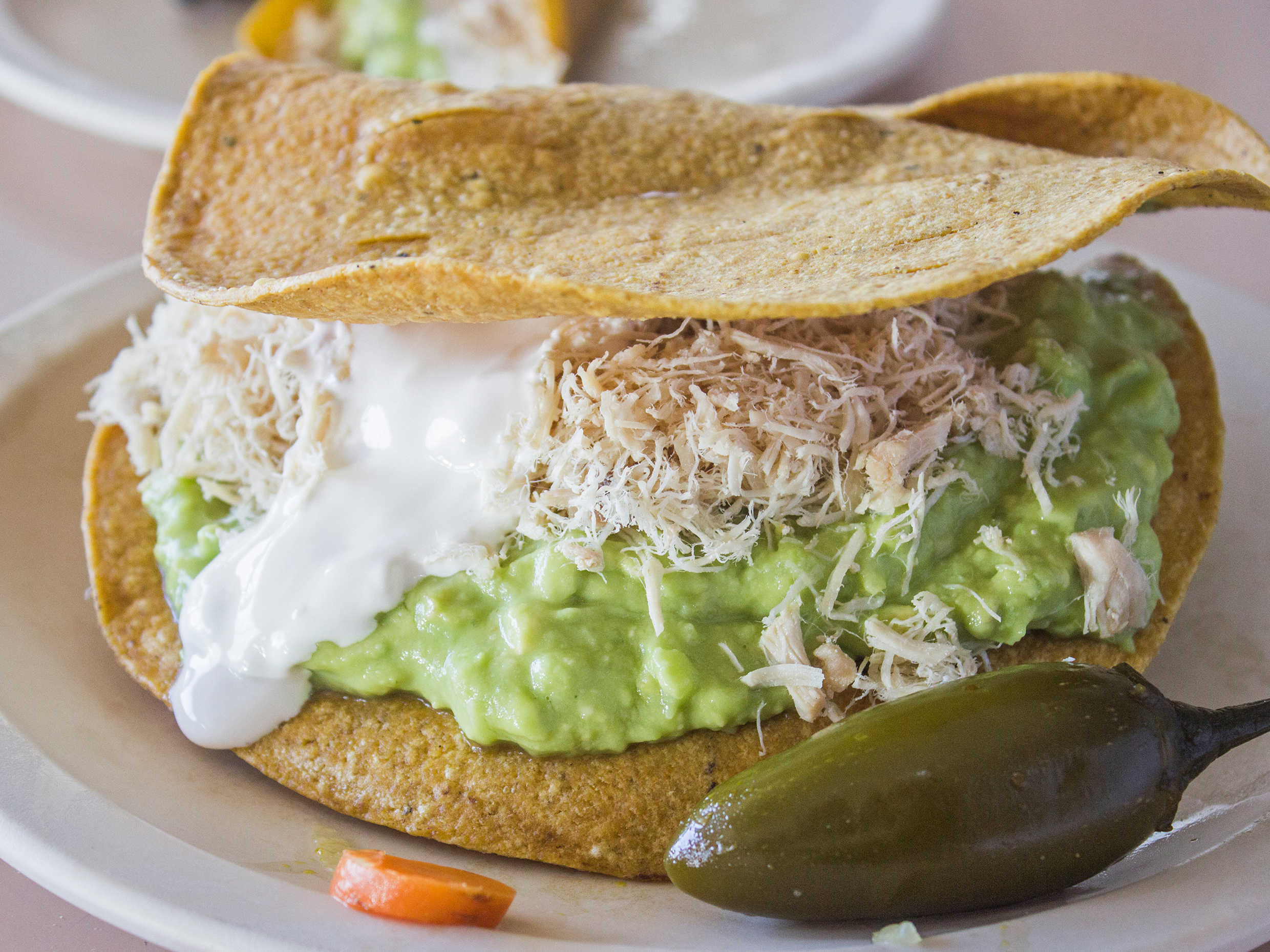 Tostada Junior