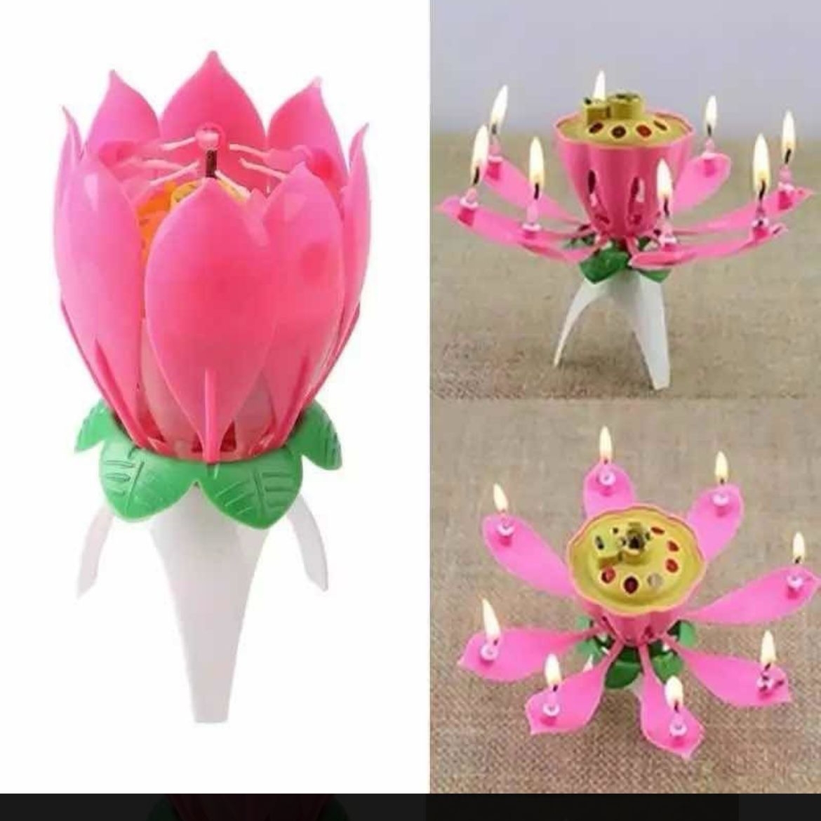 Vela flor musical