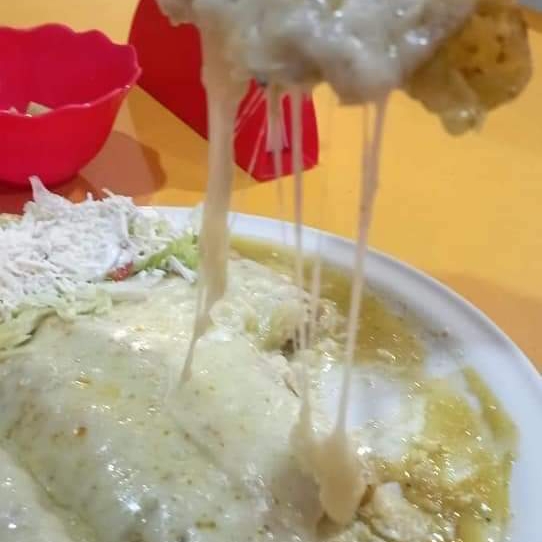 ENCHILADAS GRATINADAS VERDES 5 PZAS
